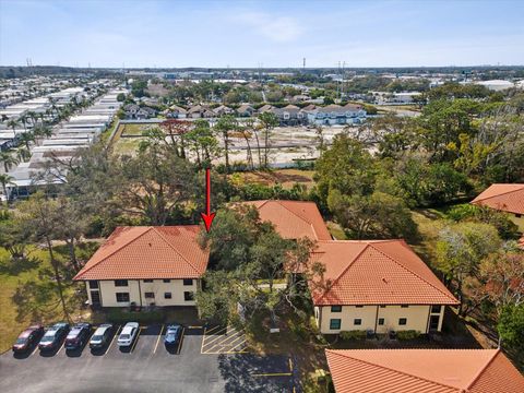 2009 HAMMOCK PINE BOULEVARD 2009 CLEARWATER FL 33761