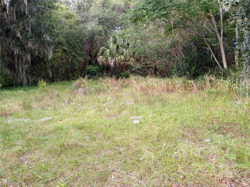 Photo of Carver Street, Mims, FL 32754 (MLS # O6380783)