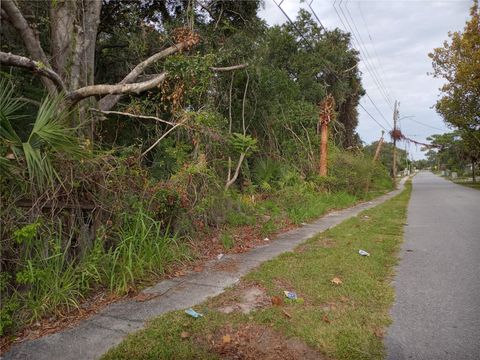 Photo of Carver Street, Mims, FL 32754 (MLS # O6380783)