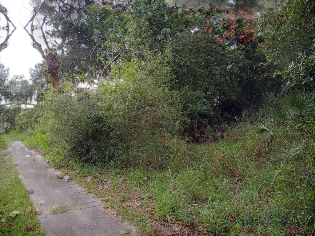 Photo of Carver Street, Mims, FL 32754 (MLS # O6380783)