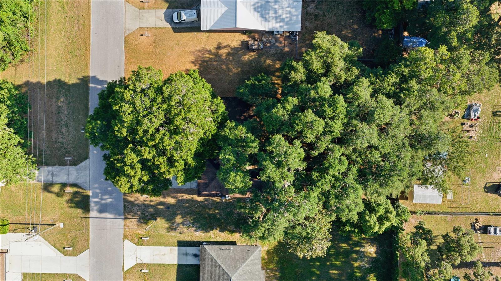 ASHLEY HEIGHTS - Residential