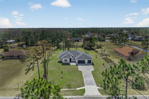 Photo of 20252 Quinn Street, Orlando, FL 32833 (MLS # O6384142)