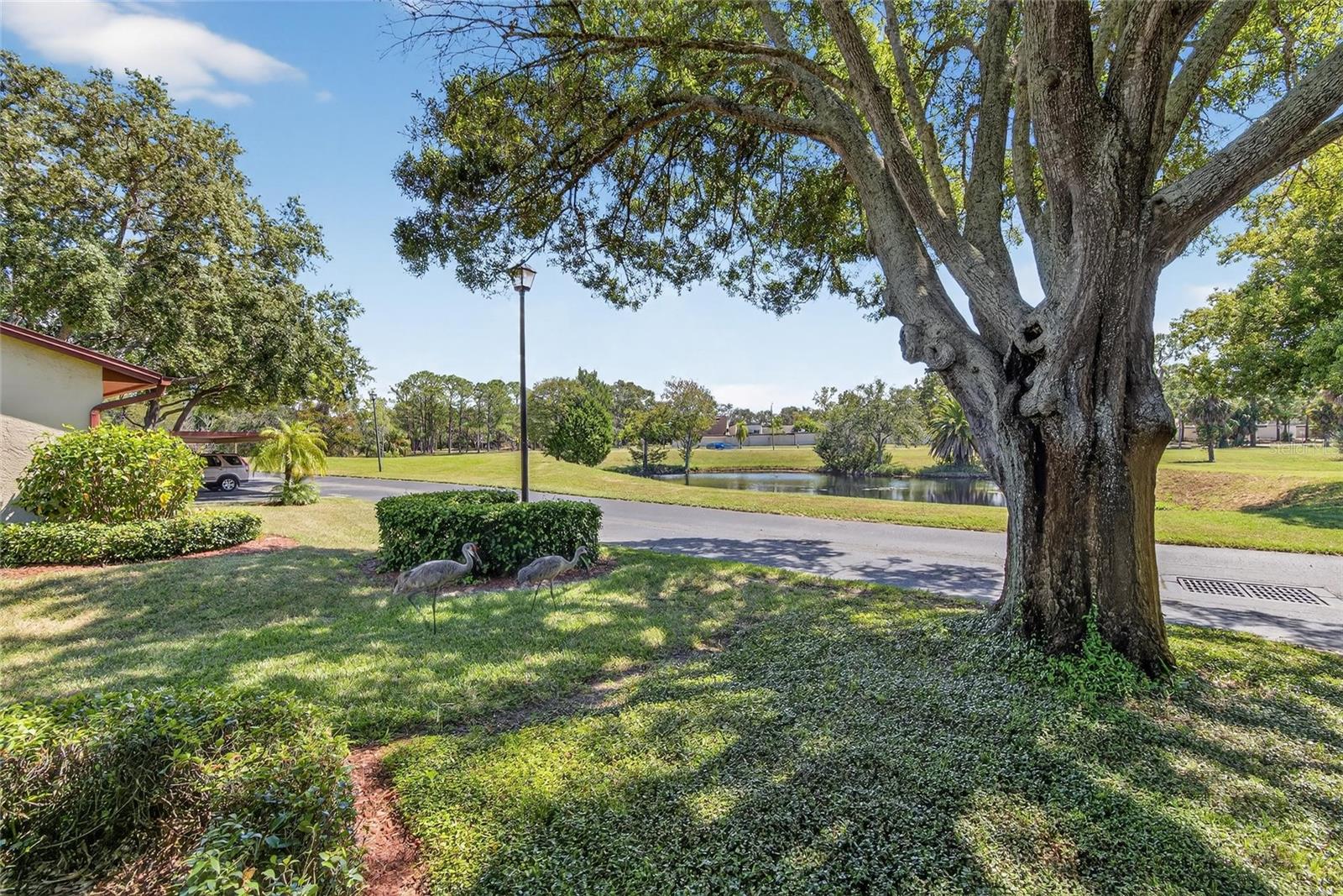 GLENWOOD VILLAGE CONDO - Residential