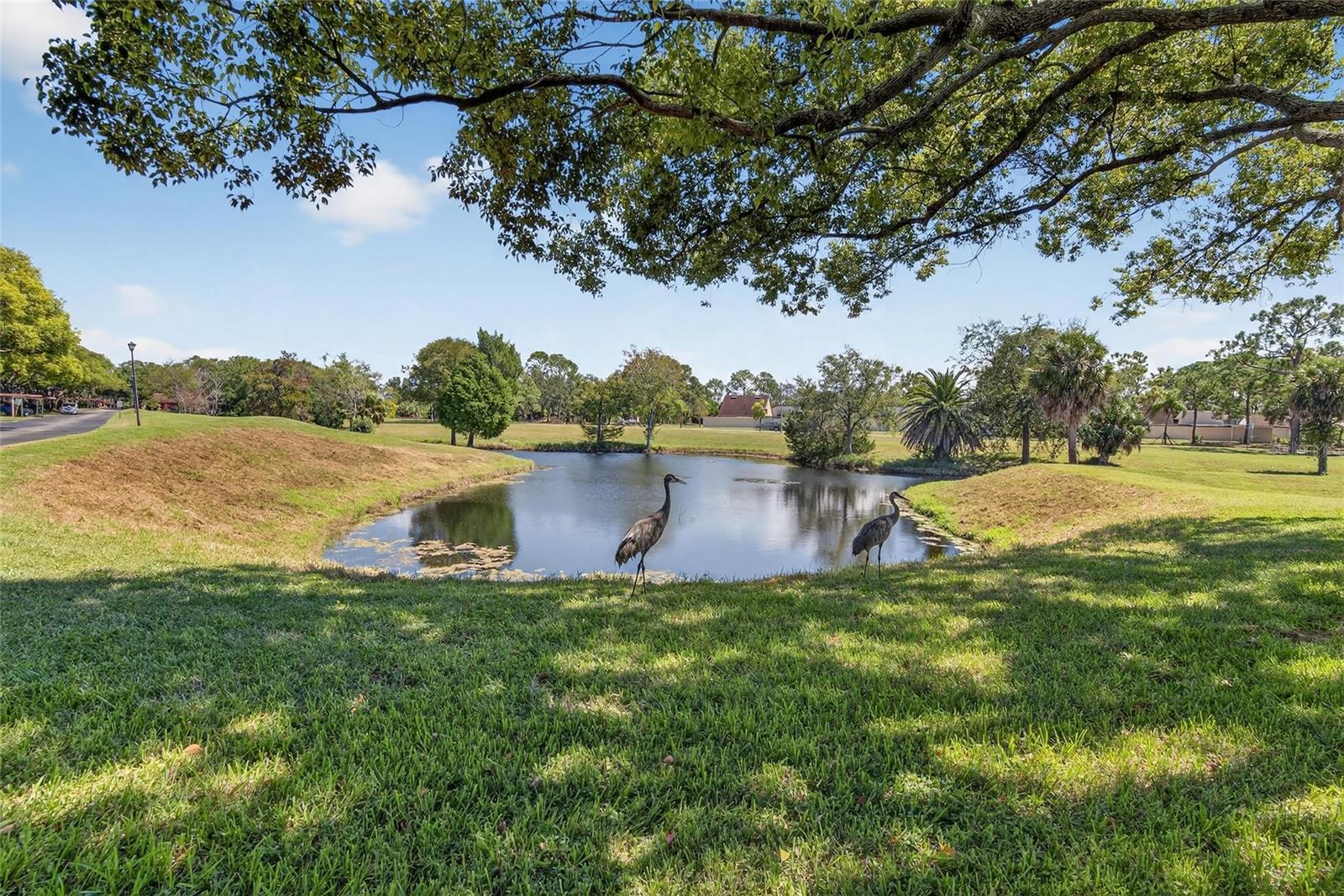 GLENWOOD VILLAGE CONDO - Residential