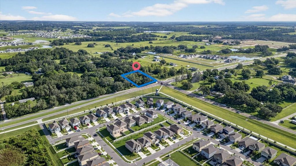 Photo of 10019 Curley Road, San Antonio, FL 33576 (MLS # TB8431810)