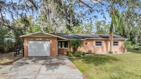 209 ORANGE DRIVE LUTZ FL 33548
