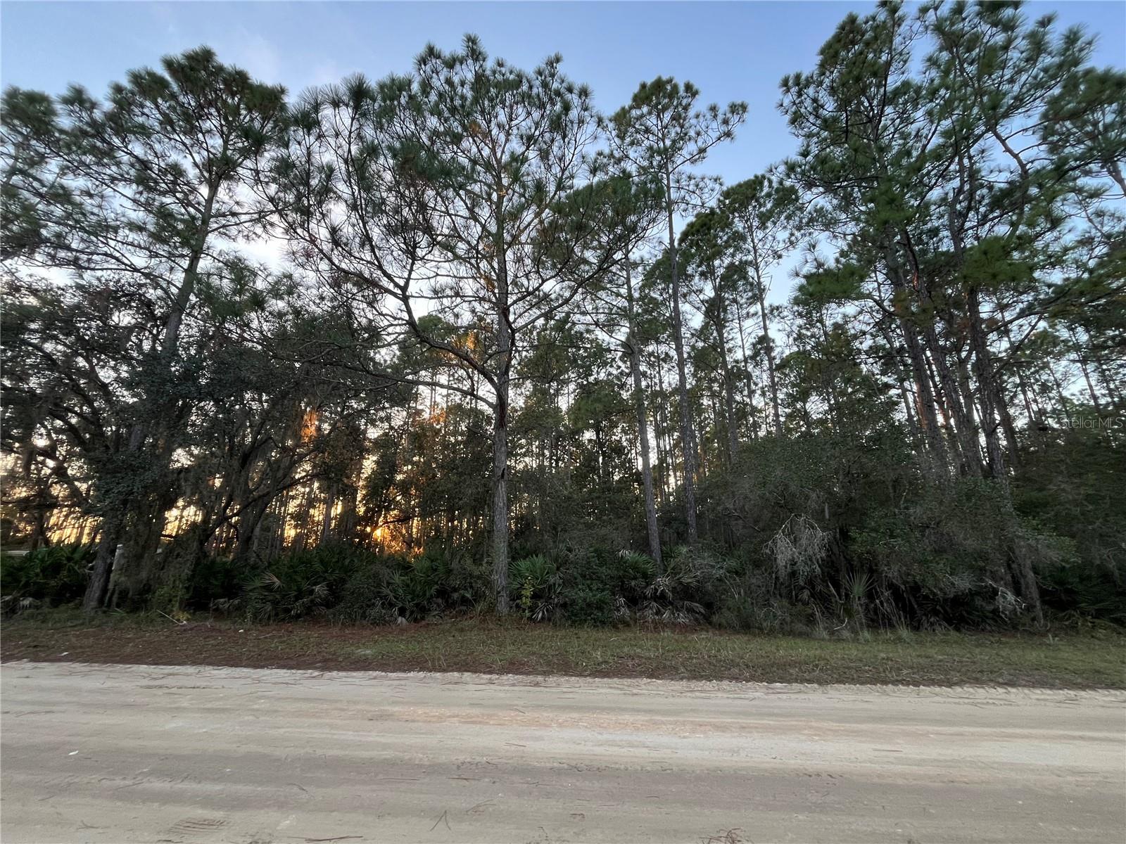 Don't Miss out on this High and dry OVERSIZED CORNER LOT recently mulched. Looking to purchase your dream property in Florida, look no further. Buying Land in Florida is a solid investment for your future, build your dream home, vacation home, rental investment or let the land build value as a great long-term investment to resell for a future profit. Owner Financing Available closest neighboring address 129 royal ave.