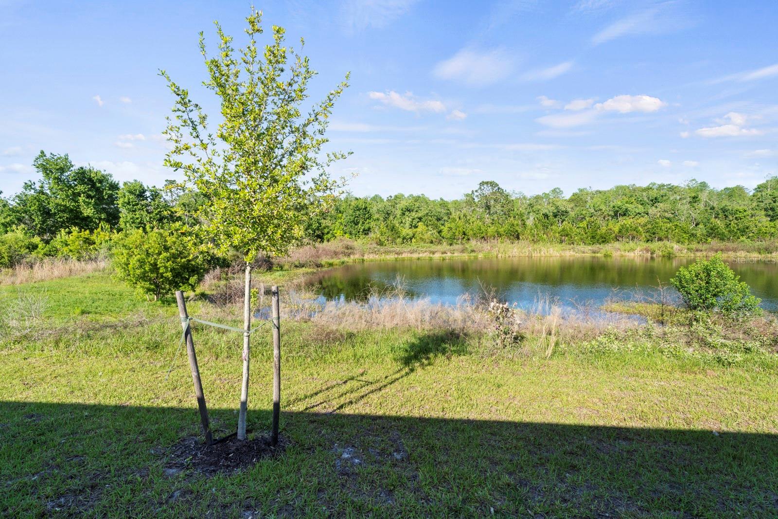 HARMONY CENTRAL PH 1 - Residential