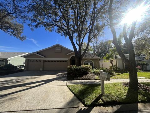 A home in TAMPA