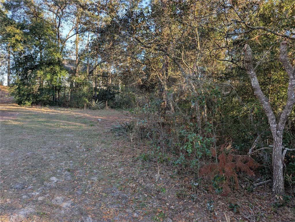 Photo of 8949 N Lansen Way, Citrus Springs, FL 34433 (MLS # OM730603)