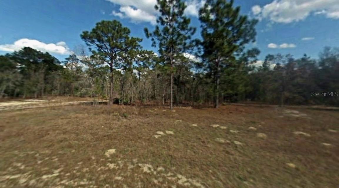 CITRUS SPGS UNIT 16 - Land