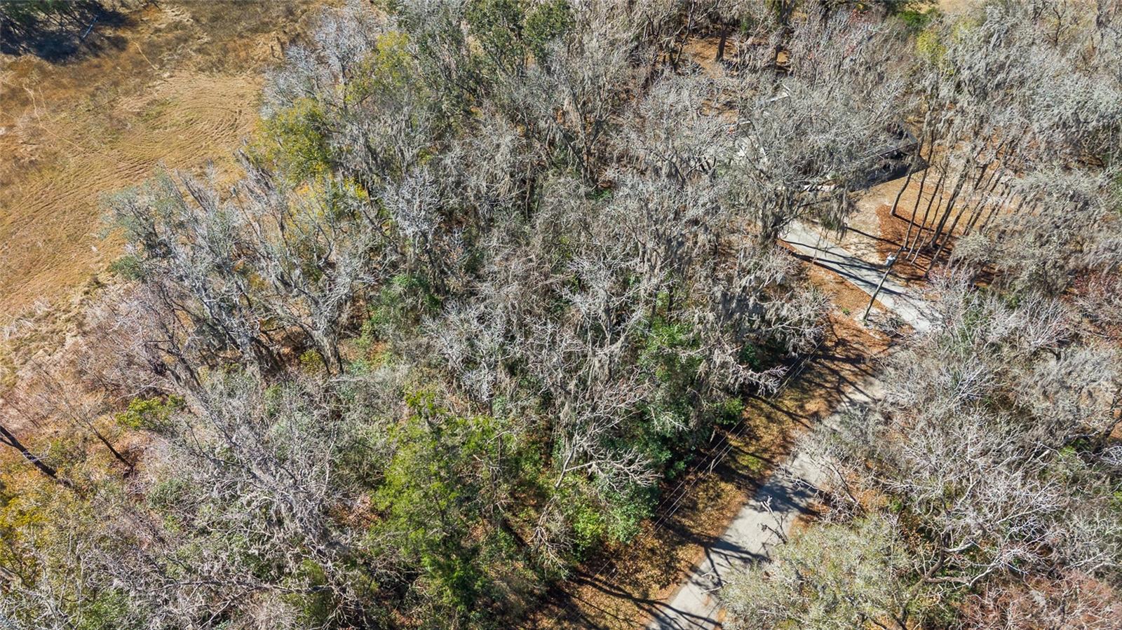 LUDLOW HEIGHTS - Land