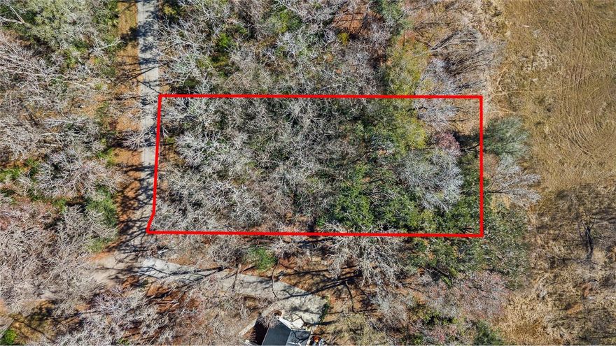 Build your dream homestead at 23126 Fitzhugh Avenue in Brooksville. Located in the peaceful Ludlow Heights area, this wooded residential lot offers privacy and a true country feel while remaining close to everyday conveniences. With no HOA, it’s an ideal setting for a custom home, modern farmhouse, or classic Florida retreat, with room for outdoor living and a spacious yard.
The property is less than 2 miles from Brooksville Country Club and approximately 10 minutes to historic downtown Brooksville, known for its charming streets, local restaurants, and boutique shops. Outdoor enthusiasts will appreciate nearby parks and trails, including Croom Wildlife Management Area, offering miles of hiking, biking, and equestrian trails. Easy access to I-75 allows for convenient travel to Tampa, Clearwater, St. Pete, and surrounding areas.
Zoned R1C, allowing a single-family or modular home with a minimum of 900 sq ft and up to 35% lot coverage, with setback requirements include 25’ front, 10’ sides, and 20’ rear, offering flexibility for home placement and outdoor living. Survey and wetland delineation are already completed and available, providing added value and a smoother path toward development.