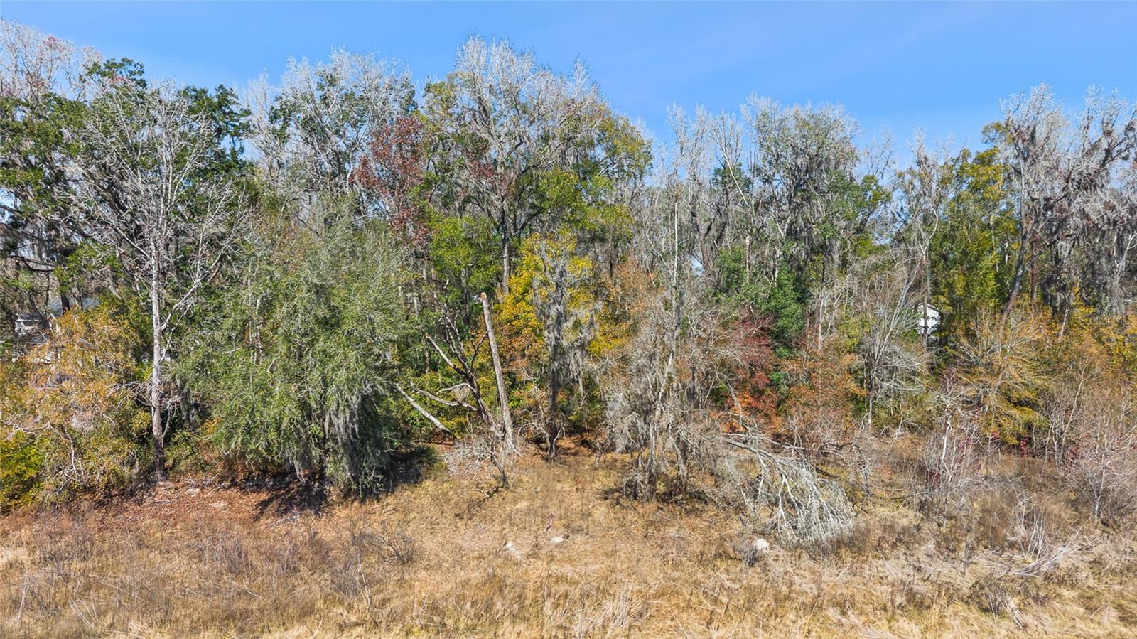 LUDLOW HEIGHTS - Land