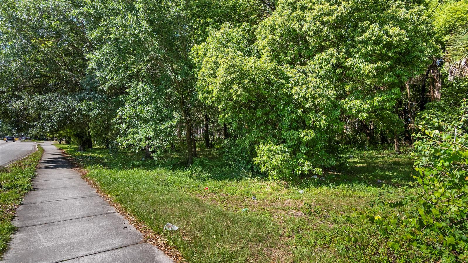 AMBASSADOR PARK - Land