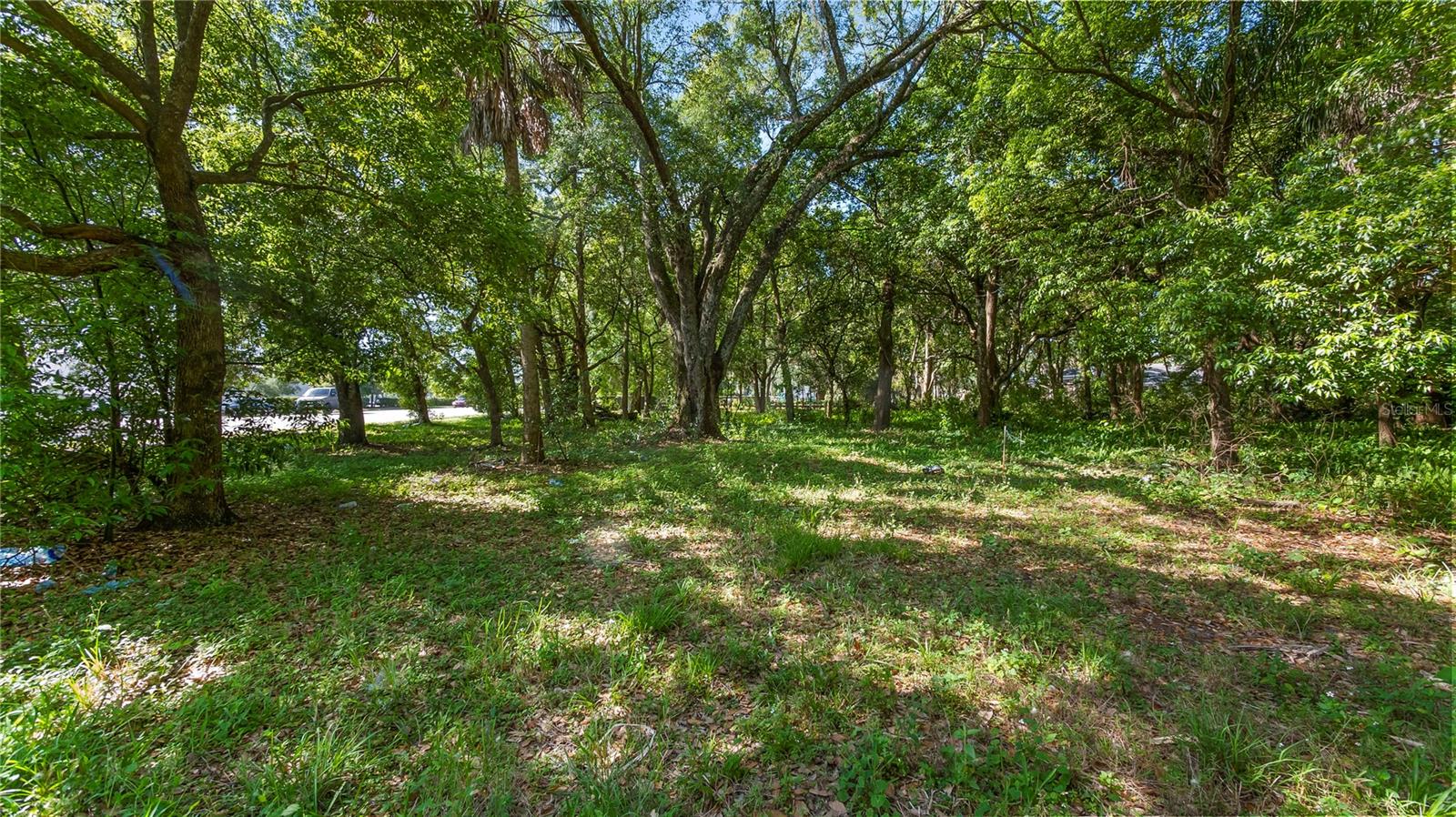 AMBASSADOR PARK - Land