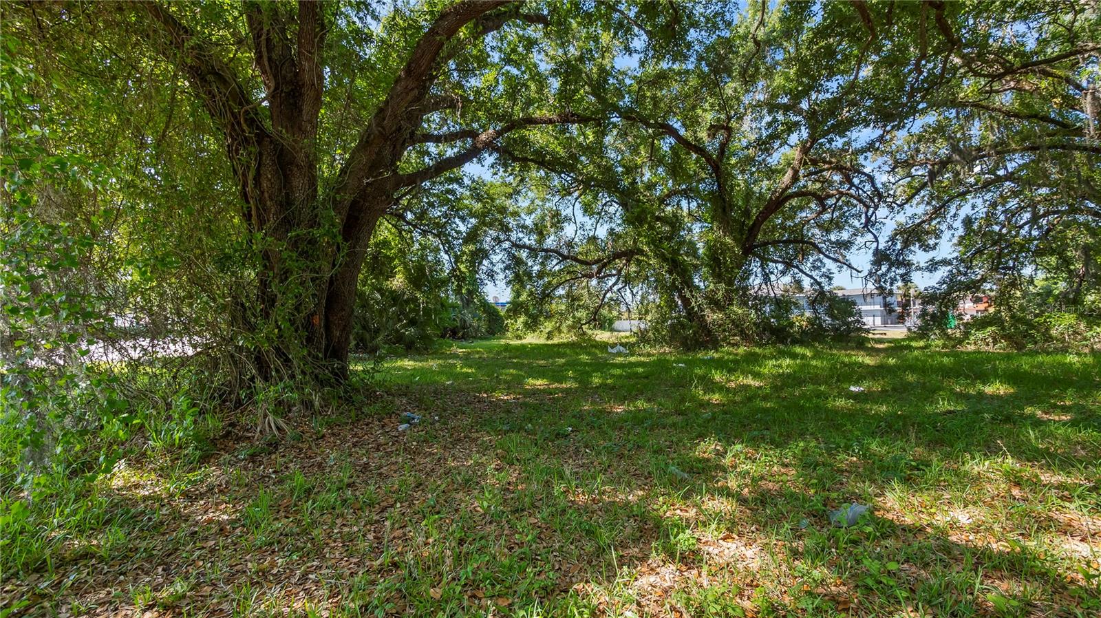 AMBASSADOR PARK - Land