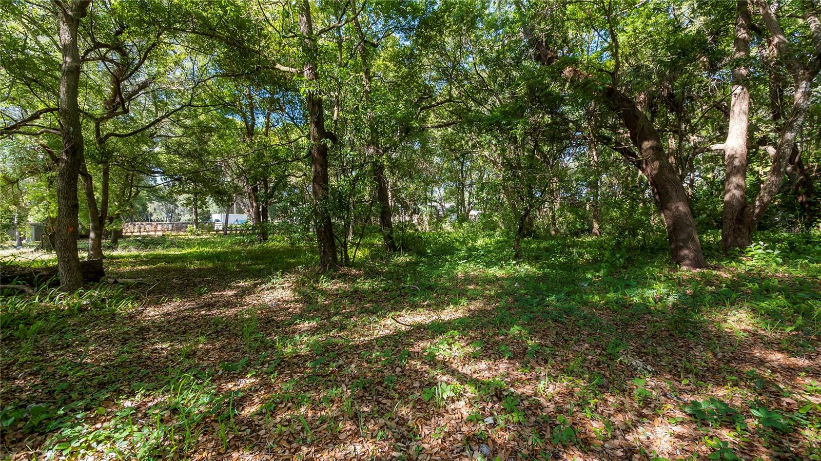 AMBASSADOR PARK - Land