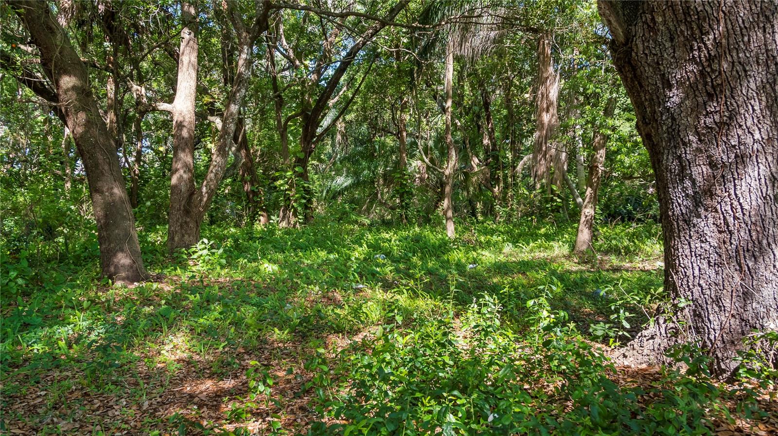 AMBASSADOR PARK - Land