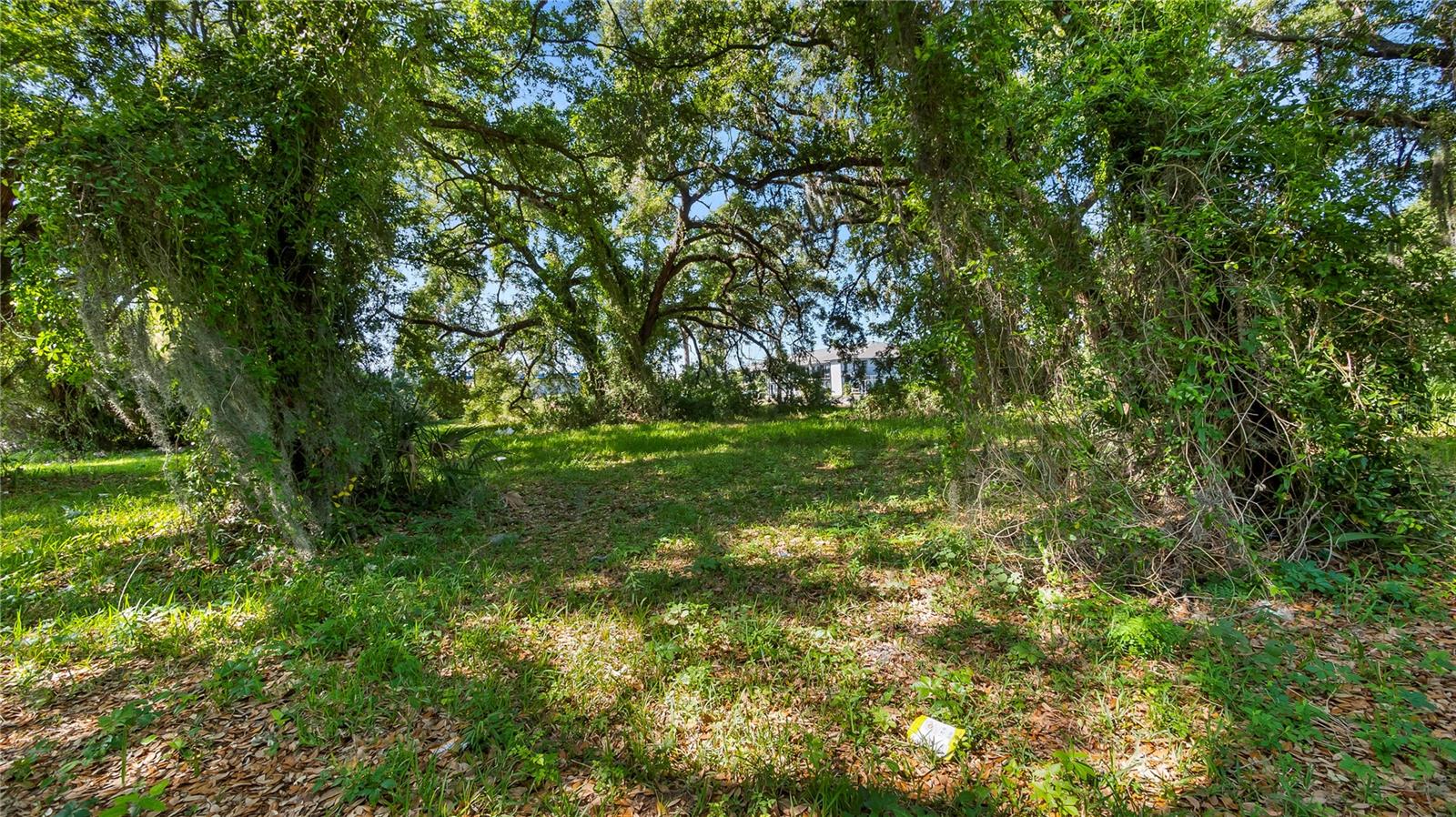 AMBASSADOR PARK - Land