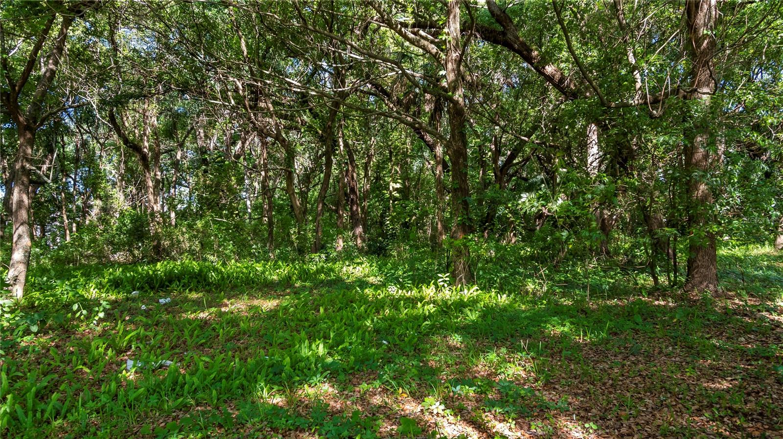 AMBASSADOR PARK - Land