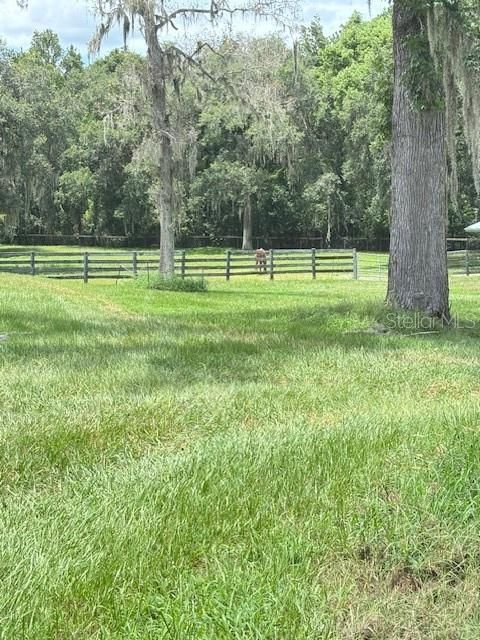 Tiny photo for 11105 N Us Highway 27, Ocala, FL 34482 (MLS # OM707102)