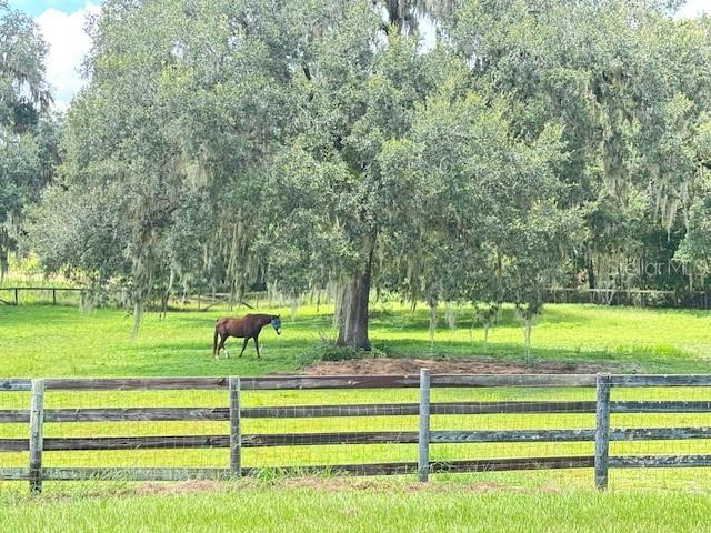 UNINCORPORATED - Farm