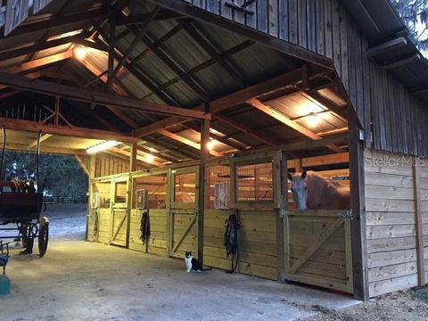Tiny photo for 11105 N Us Highway 27, Ocala, FL 34482 (MLS # OM707102)