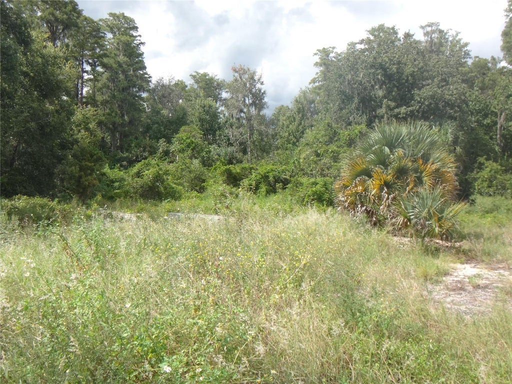 Photo of Tamarind Drive, Lake Wales, FL 33898 (MLS # TB8551790)