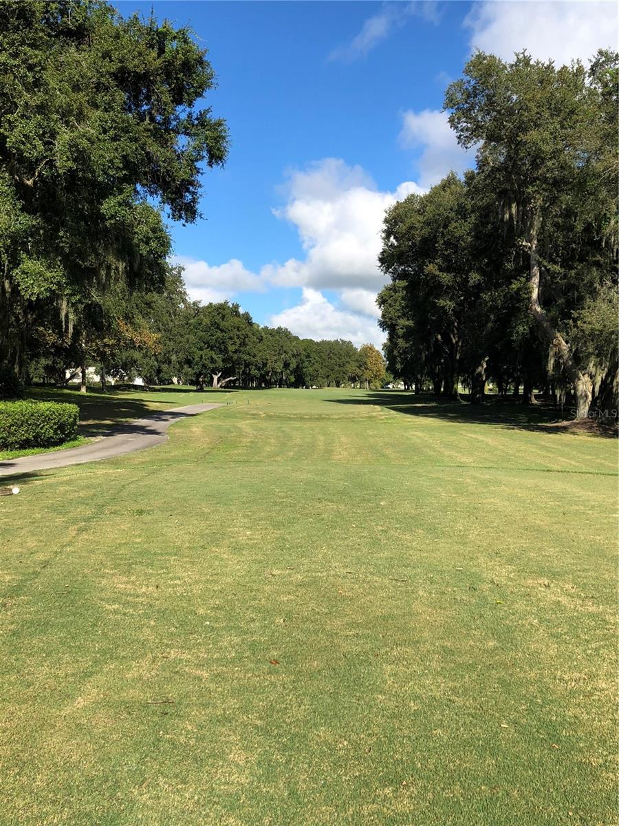 PLANTATION AT LEESBURG - Residential