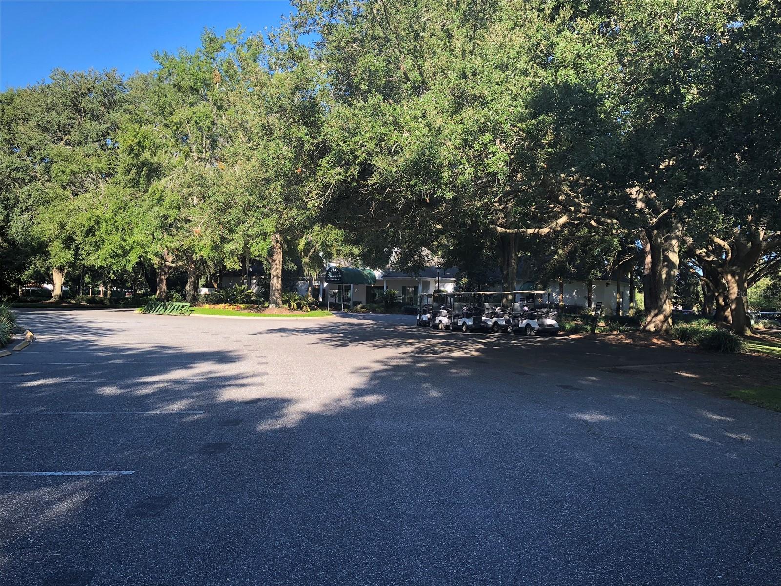 PLANTATION AT LEESBURG - Residential