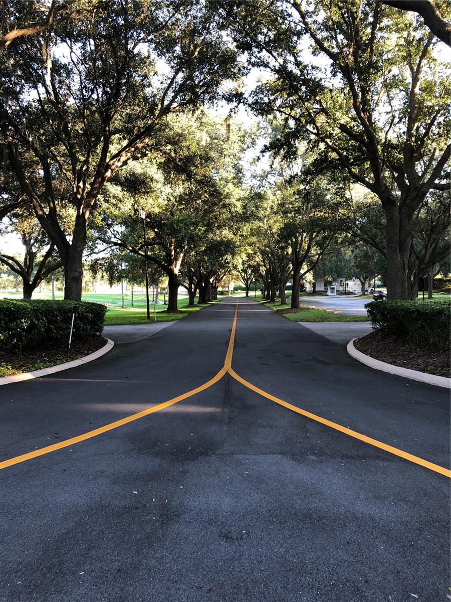 PLANTATION AT LEESBURG - Residential