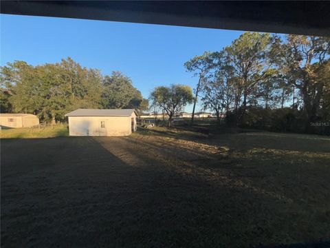 A home in POLK CITY