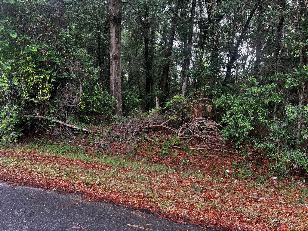 Photo of Tbd NW 61st Ln., Ocala,, FL 34482 (MLS # OM724848)