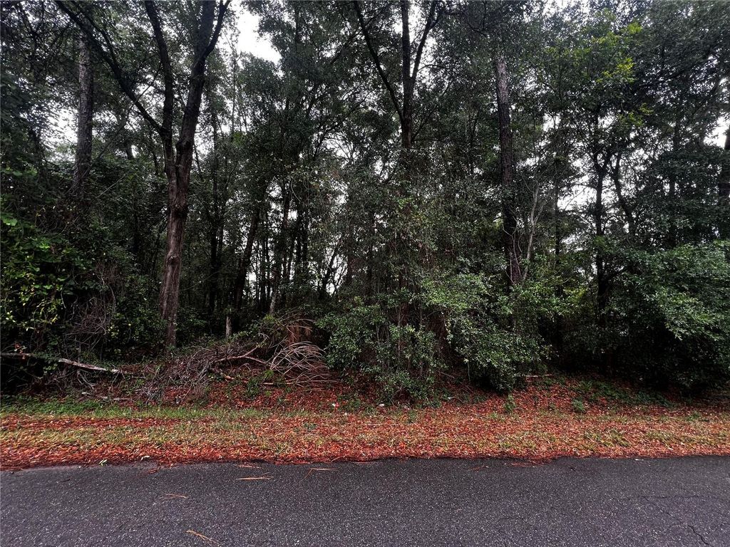 Photo of Tbd NW 61st Ln., Ocala,, FL 34482 (MLS # OM724848)