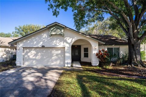 1410 CLUB DRIVE TARPON SPRINGS FL 34689