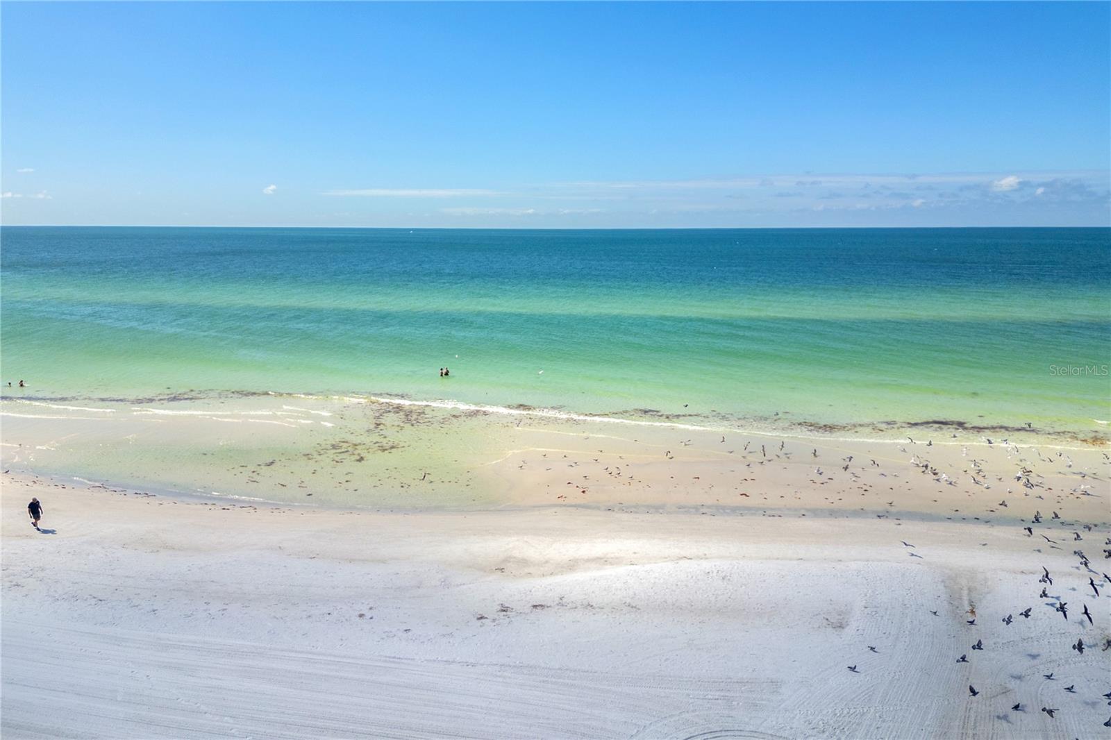 CASARINA - Residential