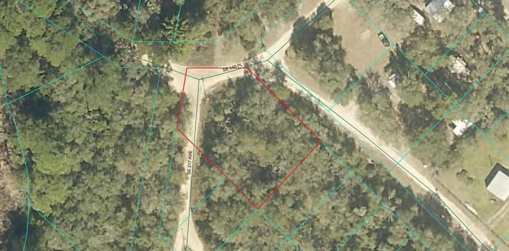 Photo of 5075 SE 217th Avenue, Umatilla, FL 32784 (MLS # A4668003)