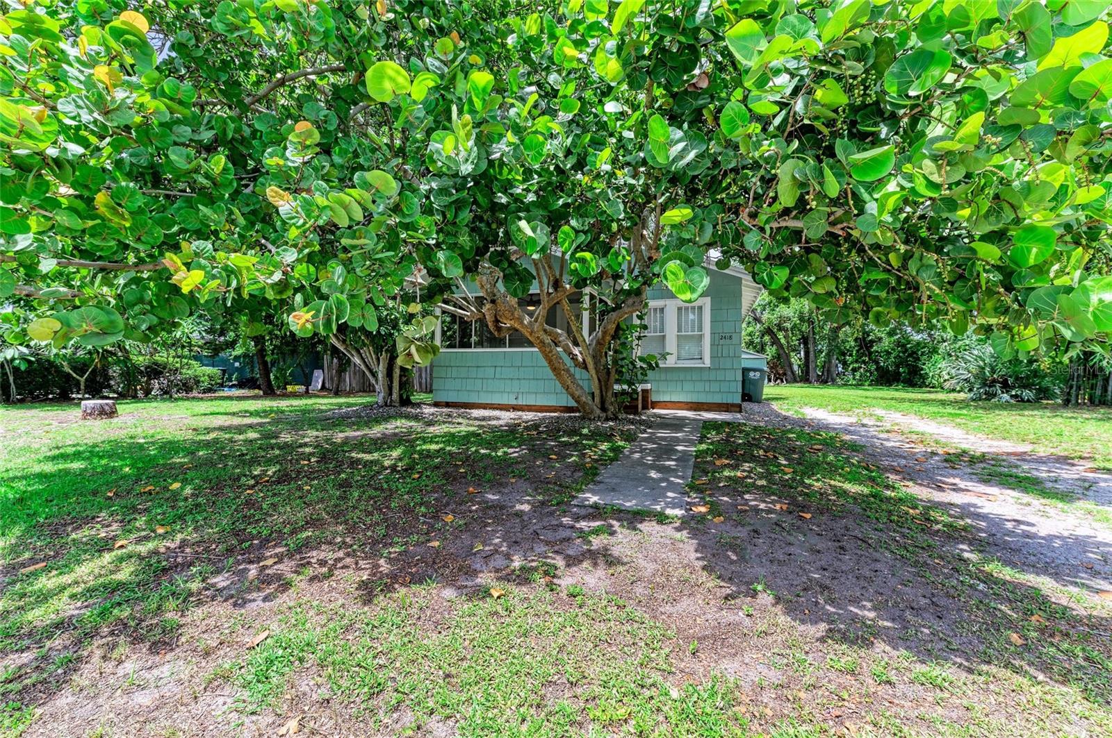 WOODMAN - Residential