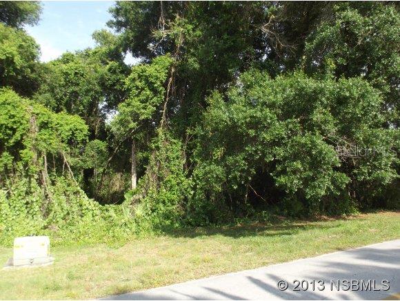 Spruce Creek Unit 02C - Land