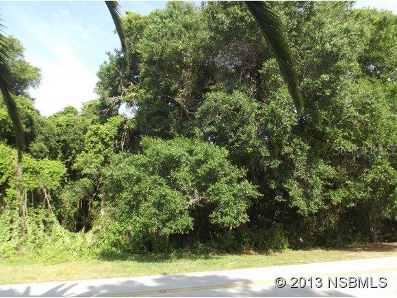 Spruce Creek Unit 02C - Land