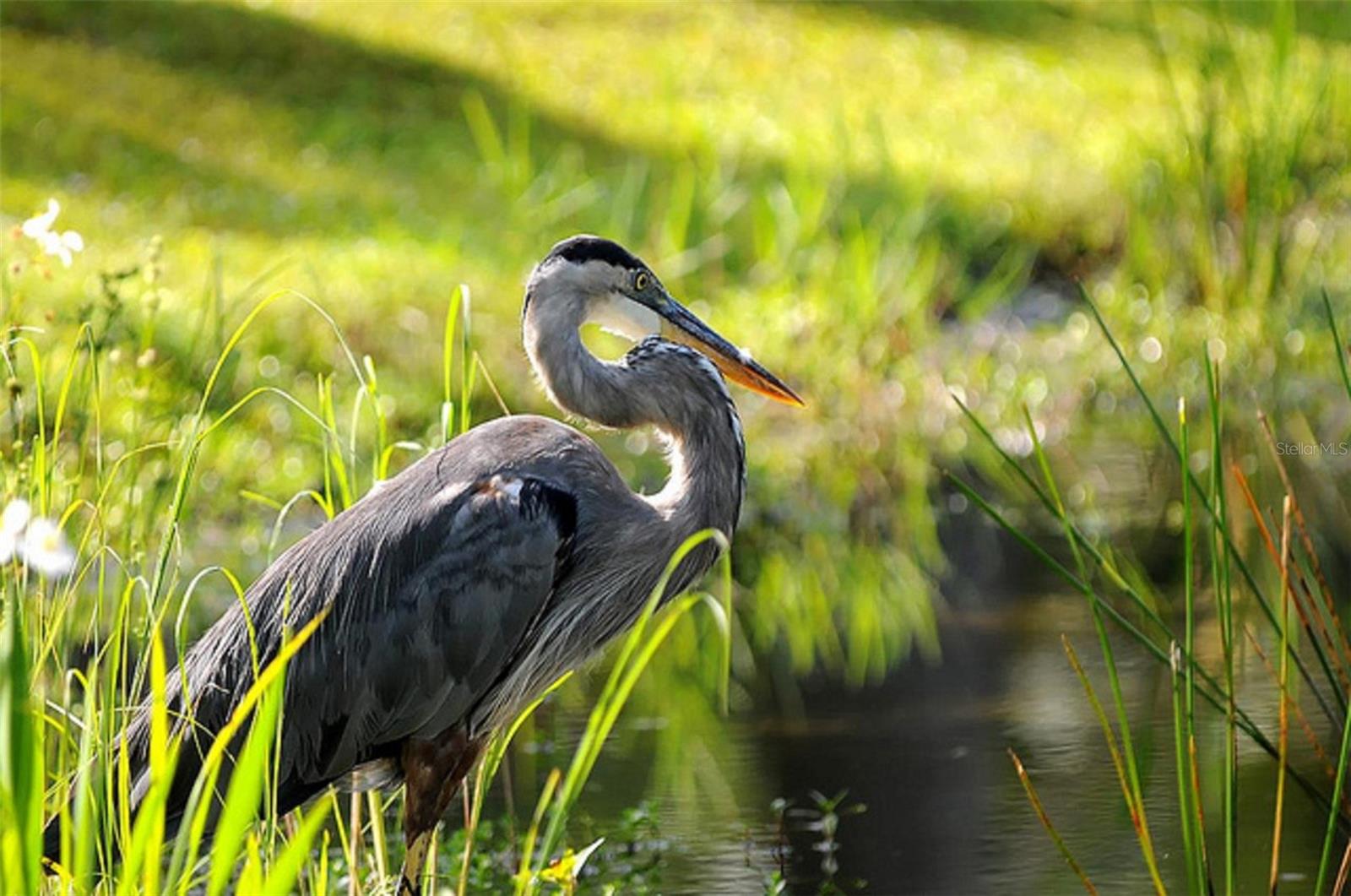 PUNTA GORDA ISLES SEC 21 - Residential