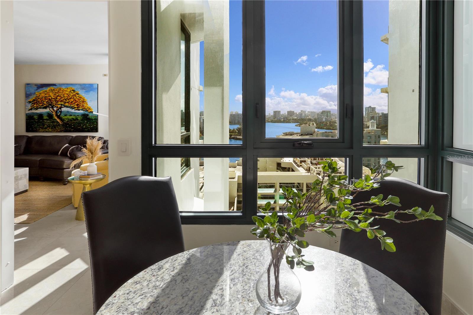 CARIBE PLAZA CONDOMINIUM - Residential