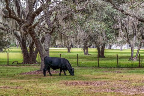 Tiny photo for 41812 Catbrier Lane, Umatilla, FL 32784 (MLS # G5102848)