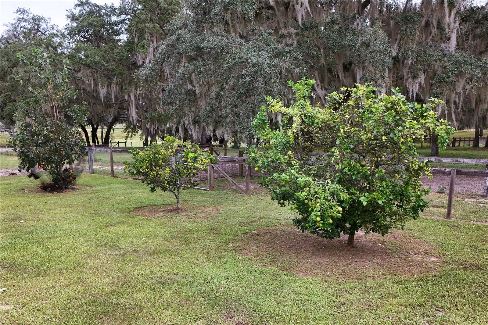 ACREAGE & UNREC - Residential
