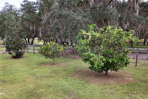 Tiny photo for 41812 Catbrier Lane, Umatilla, FL 32784 (MLS # G5102848)