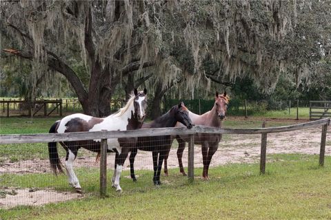 Tiny photo for 41812 Catbrier Lane, Umatilla, FL 32784 (MLS # G5102848)