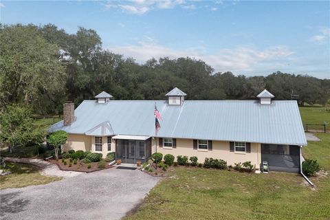 Tiny photo for 41812 Catbrier Lane, Umatilla, FL 32784 (MLS # G5102848)