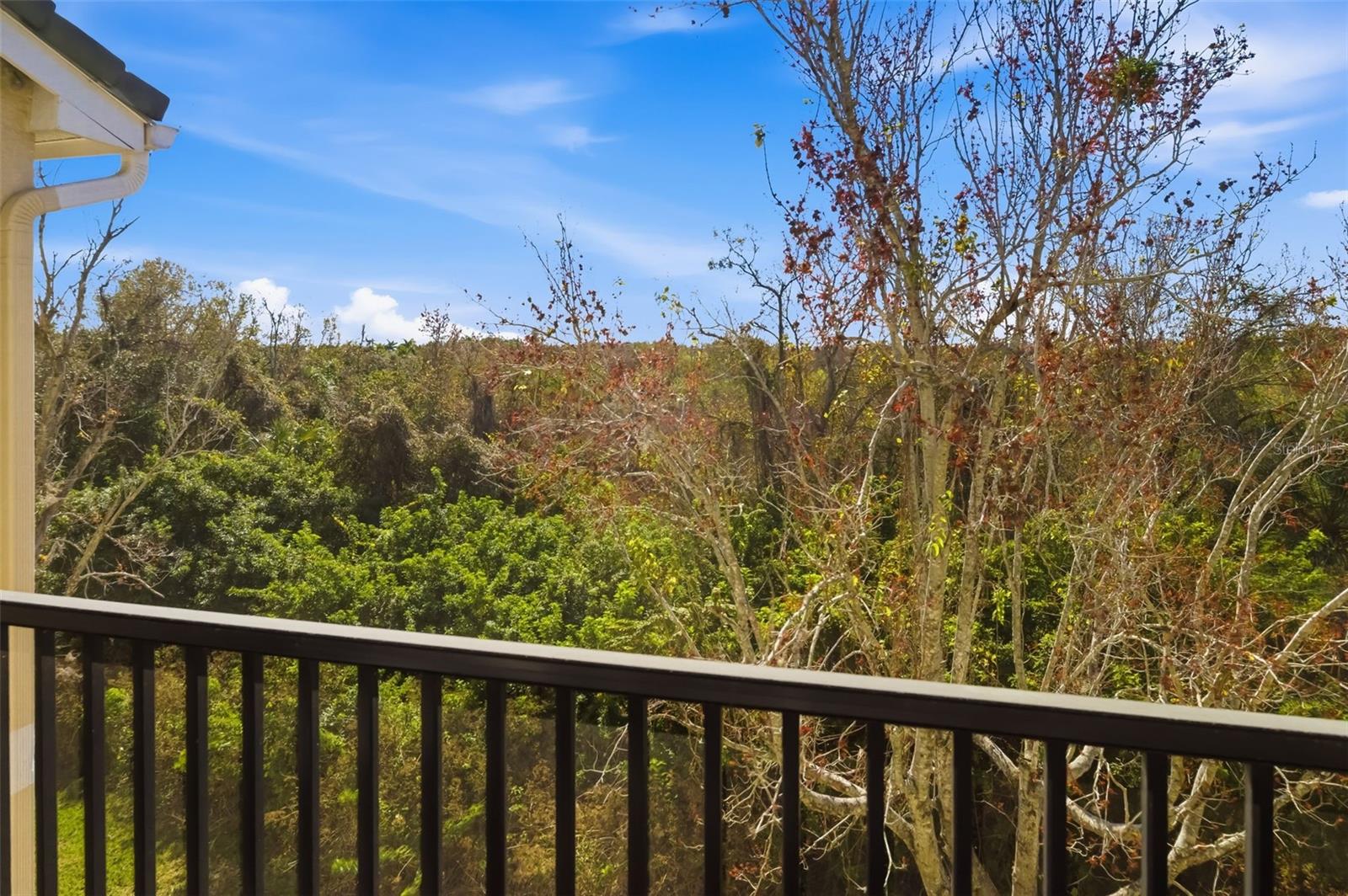 SERENADE ON PALMER RANCH - Residential