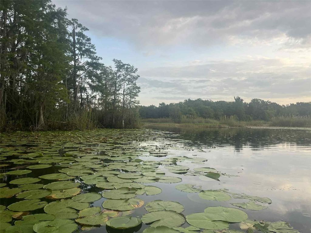 Photo of 1135 N Jackadee Point, Inverness, FL 34453 (MLS # TB8436945)